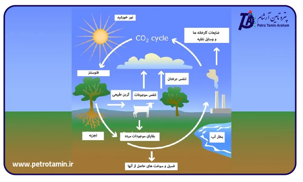 کاربرد گاز دی اکسید کربن